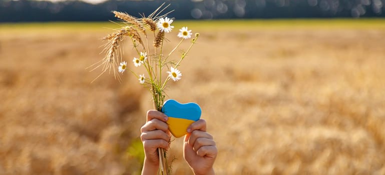 Child in a field of wheat with the flag of Ukraine. Selective focus. Nature.