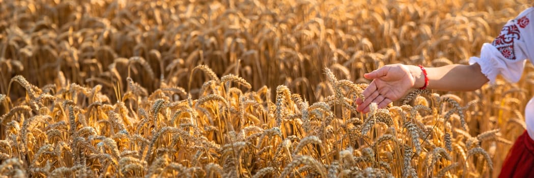 Ukrainian child in vyshyvanka in wheat field. Selective focus. Nature.