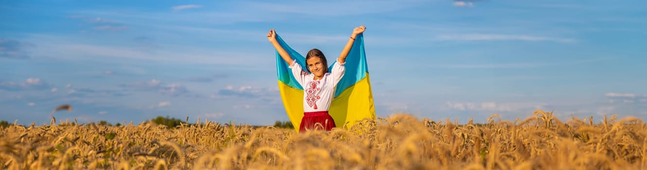 Child in a field of wheat with the flag of Ukraine. Selective focus. Kid.