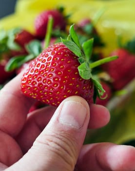 children's favorite fruit is strawberry, a bowl of natural strawberries,