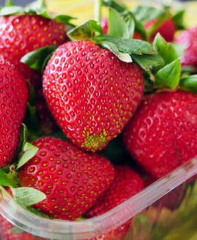 children's favorite fruit is strawberry, a bowl of natural strawberries,