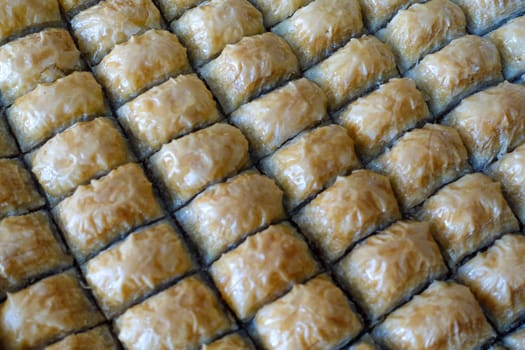 Famous Turkish baklava dessert sliced in a baking tray, Gaziantep baklava,