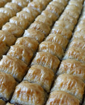 Famous Turkish baklava dessert sliced in a baking tray, Gaziantep baklava,