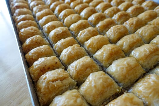 Famous Turkish baklava dessert sliced in a baking tray, Gaziantep baklava,