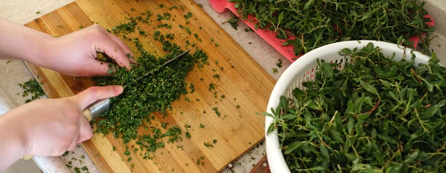 In Turkey, chopping madımak grass from herbal food, Madımak grass for yozgat madımak dish,