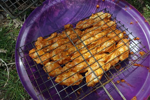 enjoying a barbecue at the picnic, arranging the chicken cutlet with sauce on the wire grill, grilled chicken cutlet,