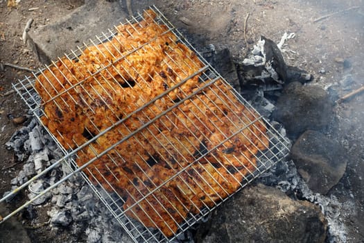 enjoying the barbecue at the picnic, chicken cutlet cooked on the barbecue,