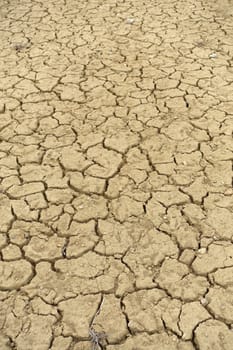 rapidly drying world-cracked and fissured soils-drought as a result of global warming,