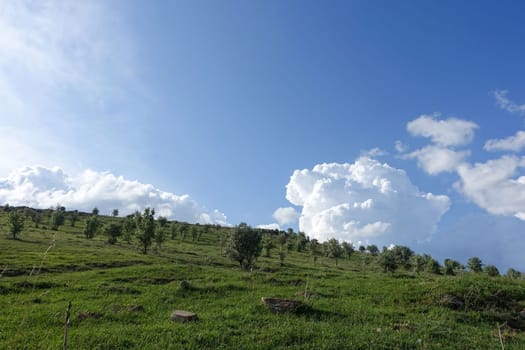 big white cloud in the sky, big and big white clouds,