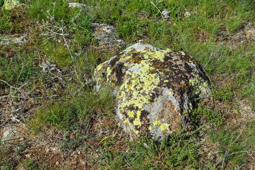 moss-covered rocks, old rocks mossed over,