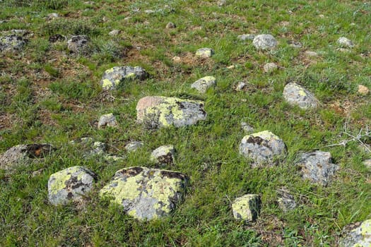 moss-covered rocks, old rocks mossed over,