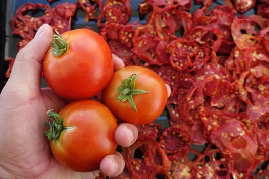 healthy foods,dried tomatoes,close-up dried tomatoes,