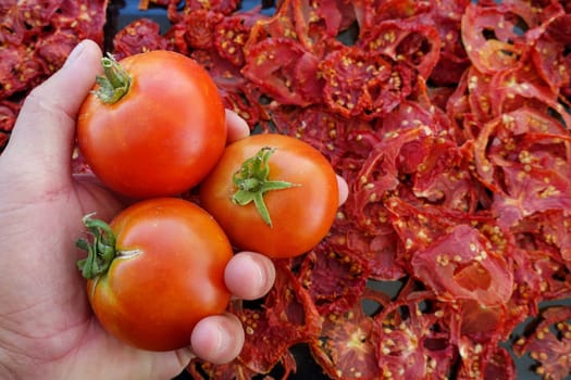 dried tomatoes, drying tomatoes in the natural sun, food dried,