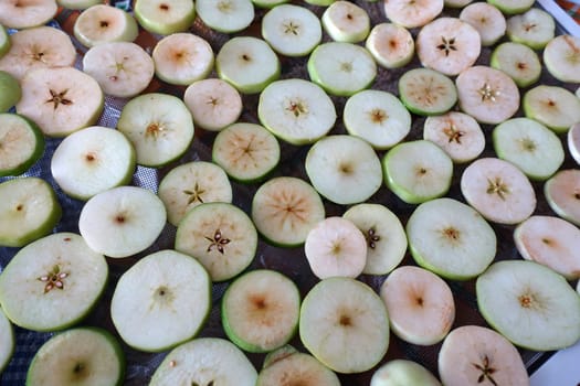 drying homemade apples, drying apples, sliced apple slices left to dry,