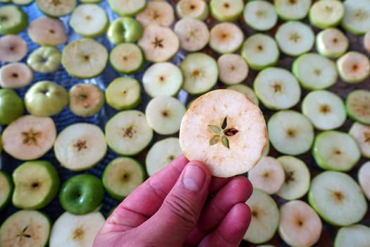 drying homemade apples, drying apples, sliced apple slices left to dry,