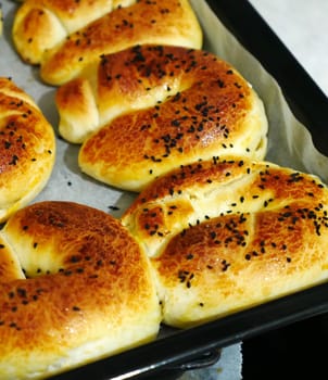 turkish style cheese pie, water pastry tray, serving börek, turkish style börek close-up,