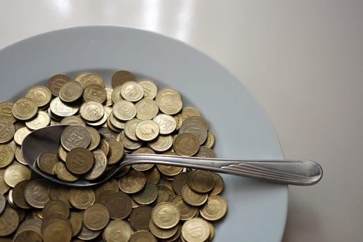 spend money,eating large amounts of coins and spoons,money on a dinner plate, a spoonful of turkish lira, coins in a plate