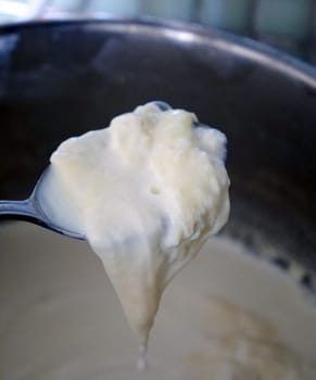 cooked cow's milk and the milk cream formed on it, milk fat,