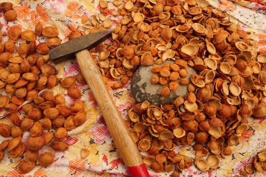 consuming apricot kernels, breaking apricot kernels with a hammer and consuming them as food,