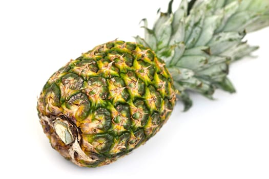 close-up pineapple standing on white background,whole pineapple fruit with leaves,