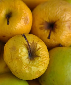 Rotting yellow apples, shriveled apples that have been sitting in a bowl for a long time,