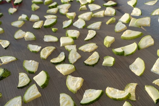 drying zucchini, drying vegetables in the sun, dried zucchini, drying sliced zucchini,