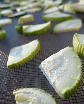 drying zucchini, drying vegetables in the sun, dried zucchini, drying sliced zucchini,