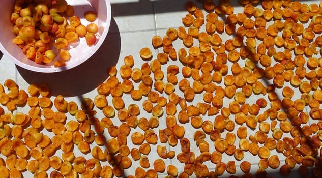 homemade apricot drying process, fruit drying process in summer, drying fruit in the sun,