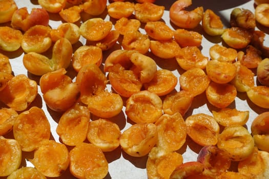 close-up apricot drying process, fruit drying process in summer, drying fruit in the sun,