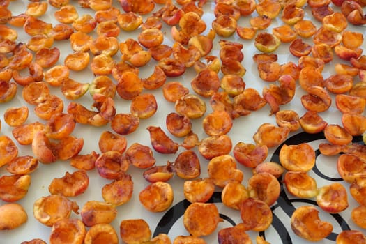 homemade apricot drying process, fruit drying process in summer, drying fruit in the sun,