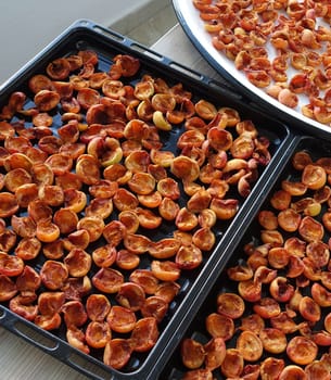 drying apricots in a metal tray on the balcony of the house, drying apricots in the sun, natural fruit drying process,