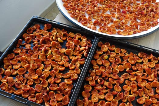 drying apricots in a metal tray on the balcony of the house, drying apricots in the sun, natural fruit drying process,