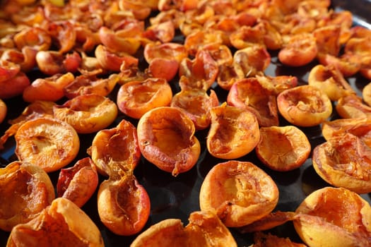 drying apricots in the sun, fruit drying, dried apricots, natural apricot drying,
