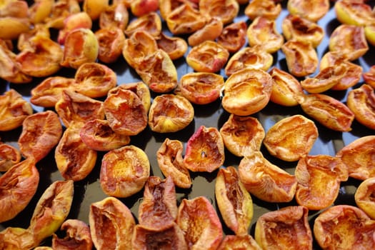 fresh apricots left to dry in the sun,