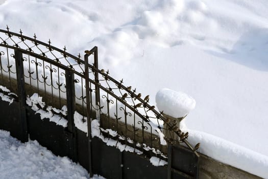 Sparrows perching on the door in winter, sparrows collectively are looking for food,