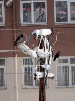 a snowy lamppost and a crow bird standing on it in winter,