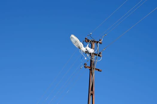 a snowy lamppost and a crow bird standing on it in winter,