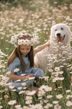 Girl dog meadow chamomile. Child girl embraces her furry friend Maremma Sheepdog in a serene chamomile field, surrounded by lush greenery. Love and companionship between a girl and her dog