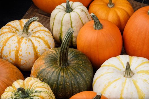 Pile of many multi colored pumpkins and gourds of different shapes and colors. Different kinds Colorful pumpkins decoration