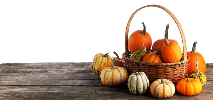 Autumn composition for Thanksgiving and Halloween. harvest. basket with white and orange pumpkins of different sizes on wooden table isolated on white background