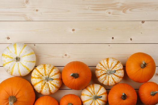 Many pumpkin top border over a rustic white wood background