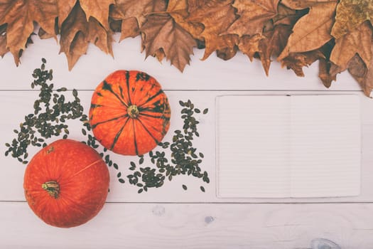 Pumpkins,pumpkin seed and empty notebook on wooden table with autumn leaves.Toned image.