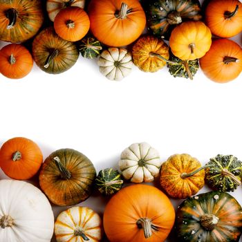 Autumn frame made of many colorful pumpkins isolated on white background. Fall, Halloween and Thanksgiving concept. Styled stock flat lay, Top view. Empty copy space for text