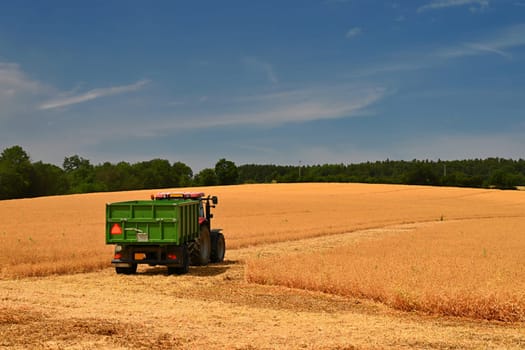 Tractor and combine harvester in the field during grain harvest. End of summer and harvest time. Concept for agriculture and industry. Landscape with field and blue sky with sun. 