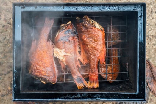 Smoked fish in smokehouse box. Hot smoked river bass fish cooked with your own hands in a mini smokehouse.