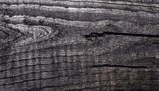 Wood Dark background texture. Blank for design