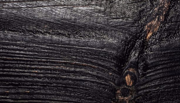 Wood texture. Macro photo. Black texture background. Top view.