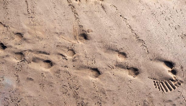 A vertical high angle shot of natural traces on the sand