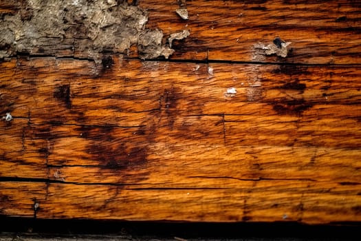 Old cracked oak boards. Wood texture. High quality photo