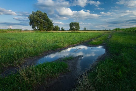 Puddle on the dirt road on a green meadow with trees, Nowiny, eastern Poland